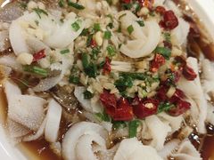 白灼毛肚-西新饭店(城中店)