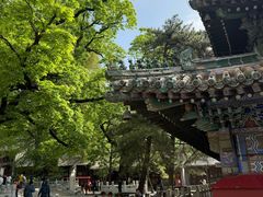 -潭柘寺景区