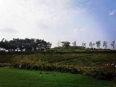 -光明小镇欢乐田园