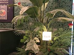 -芸山季·云南山珍菌火锅(南翔印象城MEGA店)