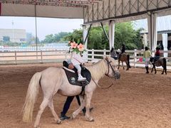 -世纪飞马幼儿园(西城校区)