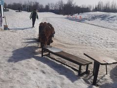-绿野森林乐园冰雪季