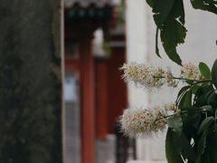 -北京石刻艺术博物馆