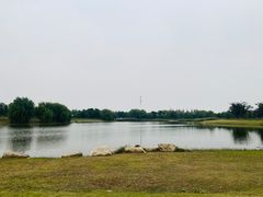 -上海滨江森林公园