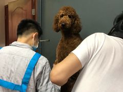 -喜狗宠物生活馆(岳州路店)