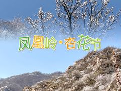 -北京凤凰岭
