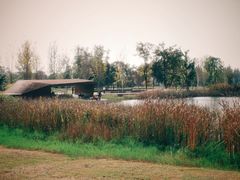 -白鹭湾湿地公园