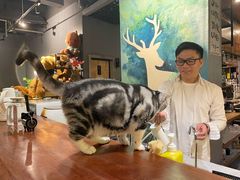 -咖法森林·咖啡  酒吧(天河店)