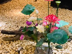 -宝燕海鲜(好爱店)