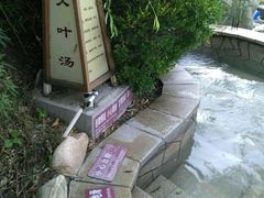 -徂徕山森林康养度假谷温泉