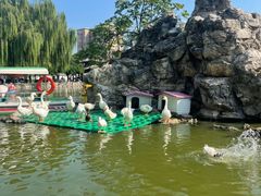 -团结湖公园