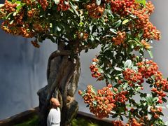 -国家植物园南园