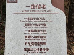 -海南霸王岭国家森林公园