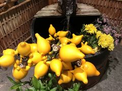 -有马温泉 竹取亭円山温泉旅馆