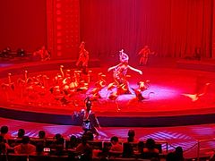 -珠海横琴长隆《卡卡虎奇遇记》