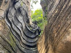 -梭布垭石林景区