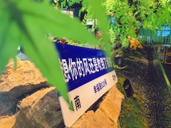 -绿茶餐厅(龙湖杭州金沙天街店)