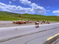 -青海湖国家重点风景名胜区