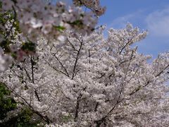 -江南大学(蠡湖校区)