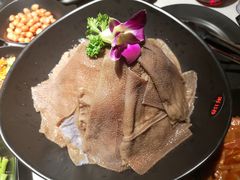 -鼎膳常火锅(华阳店)