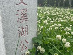 -艾溪湖湿地公园