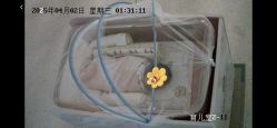 -致友月子会所(麓湖店)