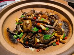 -青年公社烤鸭(青年路店)