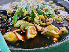 -都江堰石锅鱼