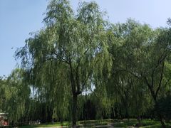 -石家庄市动物园