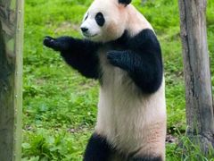 -中影国际影城(东方新天地CINITY店)