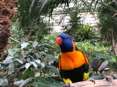 -南宫五洲植物乐园