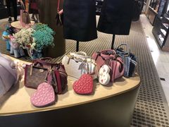 -COACH蔻驰(双安商场店)