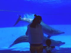 -横琴湾水世界
