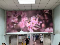 -南礼士路(地铁站)