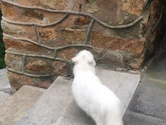 -李叔同故居纪念馆