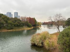 -尚贤河湿地