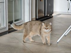 -天虹购物中心(深圳龙华店)