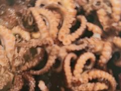 -赶海部落海鲜城(海阳路店)