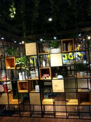 -藤野造型·专业烫染店