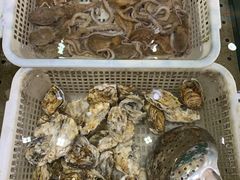 -海岛渔村大酒店(云霄路店)