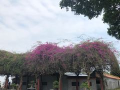 -南沙天后宫景区