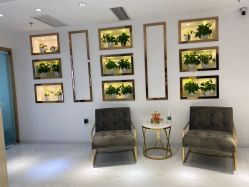 -MIVI野生眉纹绣纹眉