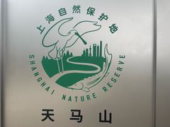 -上海佘山国家森林公园天马山园