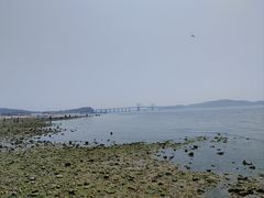 -大长山岛