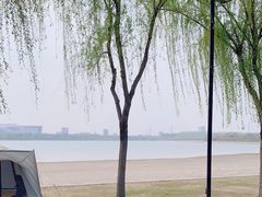 -象湖生态湿地公园