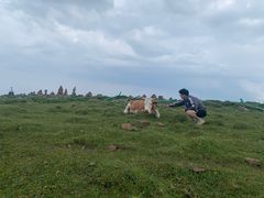 -芦芽山旅游度假区