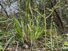 -樱桃山旅游景区