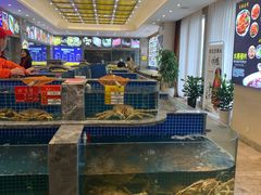 水产区-骏莱海鲜鱼港(五角场店)