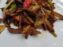 -鹅城