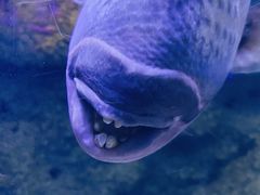 -江和美海洋公园